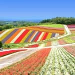 北海道団体旅行プラン京都から出発