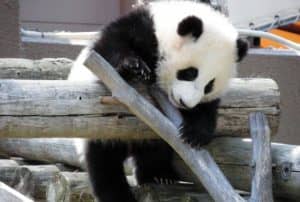 南紀団体旅行でオススメの京都から出発プラン